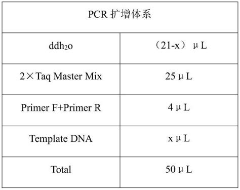 PCR反应参数包括什么