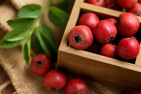 Pomegranate是什么水果