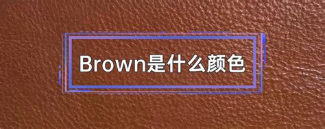 brown是什么颜色读法