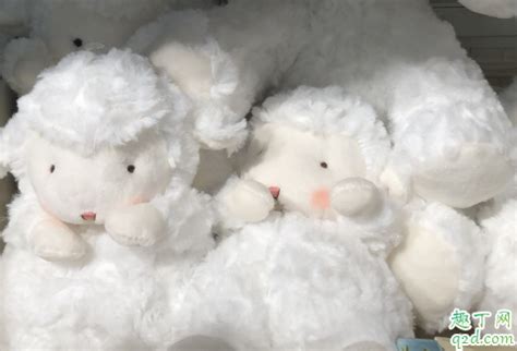 bunnies羊多少钱