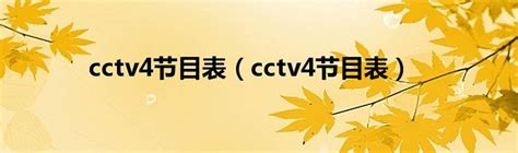 cctv4节目表