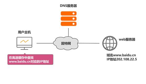 dns域名系统提供什么服务