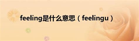 feel是什么意思中文翻译