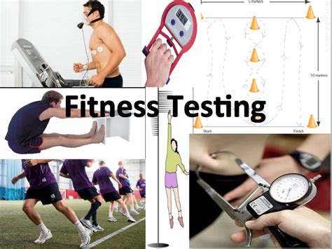 fitness test测试内容