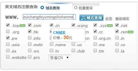 hk域名注册的流程