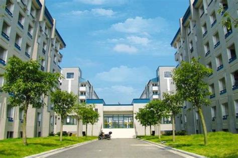 intext:柳州城市职业学院