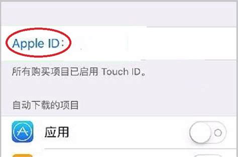 iphone touch id找不到
