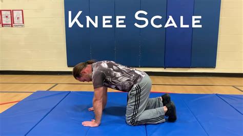 knee scale