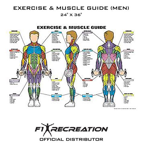 muscle training list