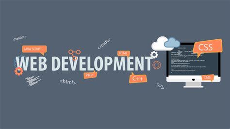 net网站开发是什么