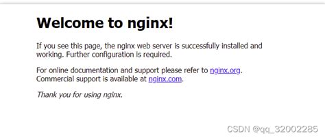 nginx mp4视频服务器