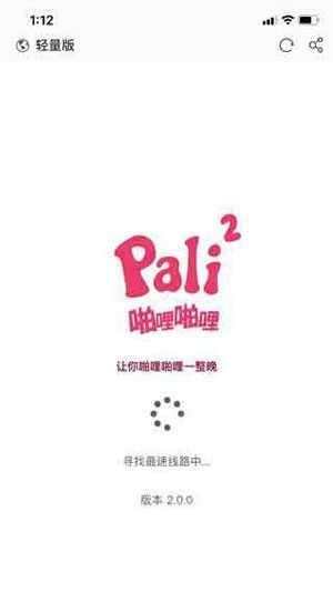 palipali2轻量版下载教程