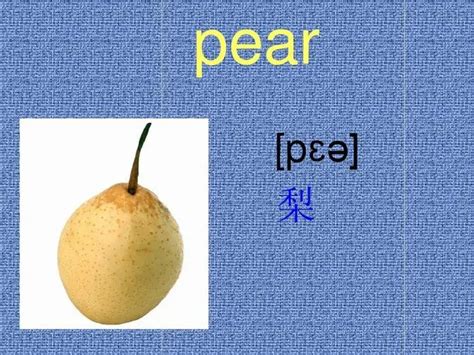 pear怎么读