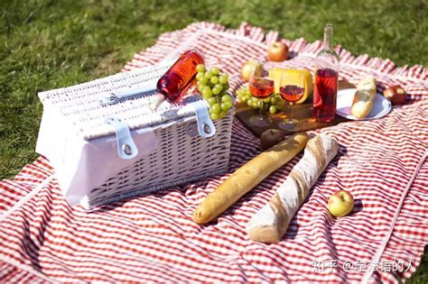 picnic是什么意思英语