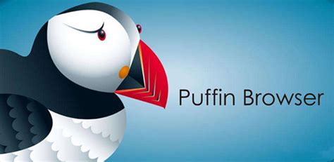 puffin浏览器无限使用