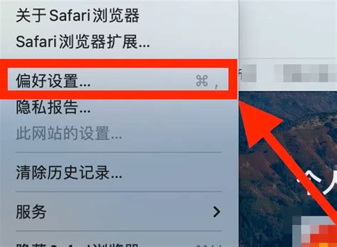 safari浏览器添加收藏在什么地方