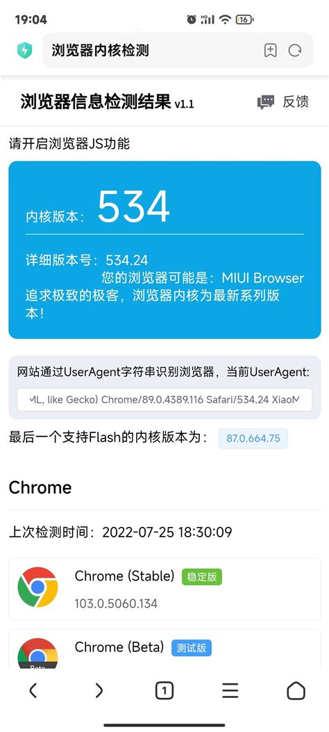 seo浏览器检测小工具