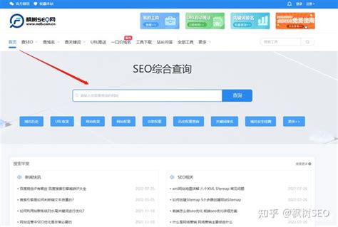 seo综合查询软件排名