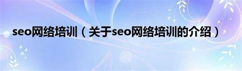 seo网络培训视频