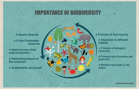 the importance of biodiversity