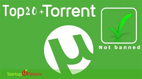 torrent2.0.4
