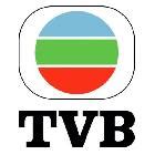 tvb官方直播