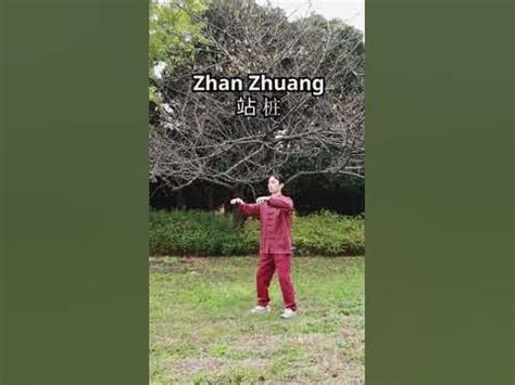 zhua和zhuang区别